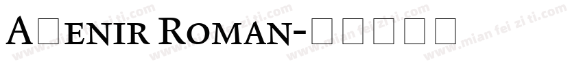 Aⅴenir Roman字体转换